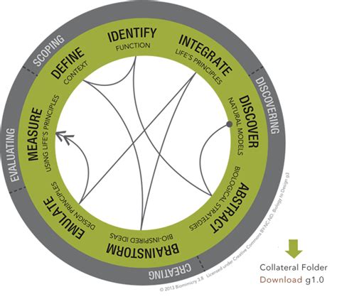 imagineplace: The Thinking Principles Behind Biomimicry