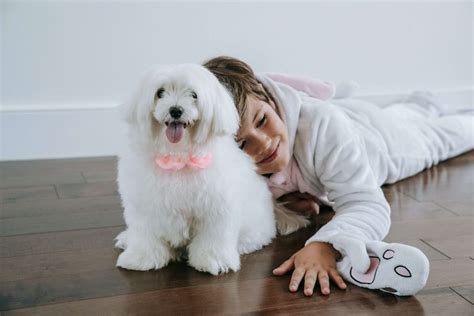 Best Pets For Kids: 13 Low-Maintenance Pets | PetsPyjamas