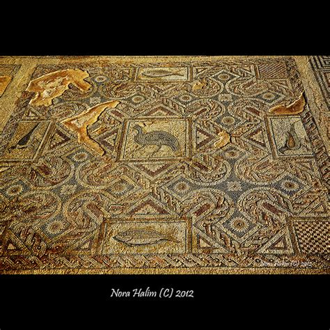 kourion mosaics | nora2810 | Flickr