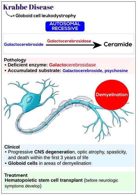 Krabbe disease - Medicine Keys for MRCPs