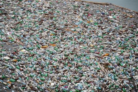 Plastic bottle pollution editorial photo. Image of chemical - 20473936