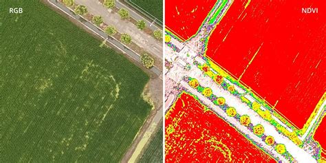 P4 Multispectral - DJI