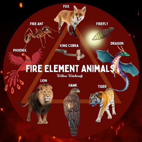 Fire Element Animals | Animal totem spirit guides, Animal spirit guides ...