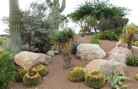 5 Kinds of Rocks Used for Desert Landscaping - Organize With Sandy