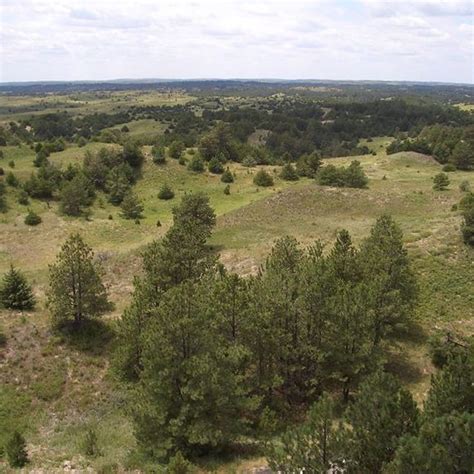 Nebraska National Forest – Chadron, Nebraska - Atlas Obscura