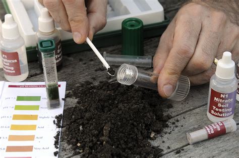 How to Test Your Soil pH - gardenersworld.com