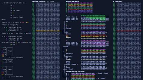 SHA-256 Unmasked: Deciphering Cryptographic Hash Functions - NETWORK ...