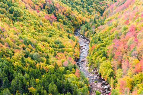 Appalachian Plateau Stock Photos, Pictures & Royalty-Free Images - iStock