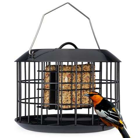 Kingsyard Squirrel Proof Suet Feeder, Cage Bird Feeders for Outdoors ...