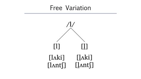 A Variant Offers Variations to Which of the Following Quizlet