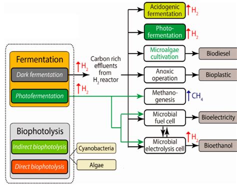 Hydrogen Production Methods | Download Scientific Diagram