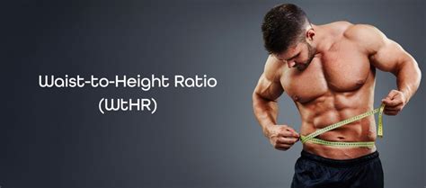 Height and Weight Chart: Ideal Weight for Men and Women