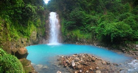 Celeste River Hike: Tenorio Volcano National Park - La Fortuna ...