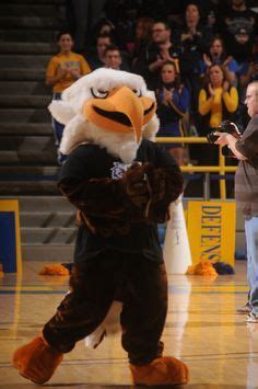 Morehead State Eagles mascot, Beaker the Eagle. | Morehead state ...