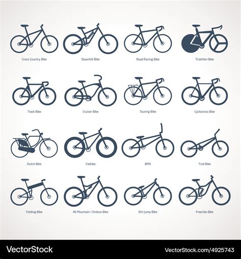 Bicycle types Royalty Free Vector Image - VectorStock