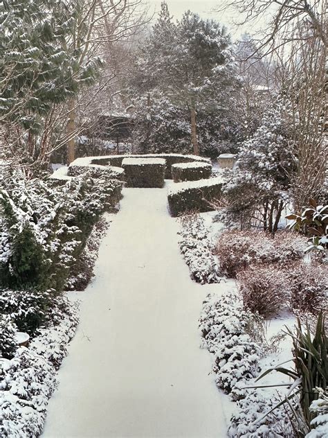 Content in a Cottage: The Winter Garden / Great Book