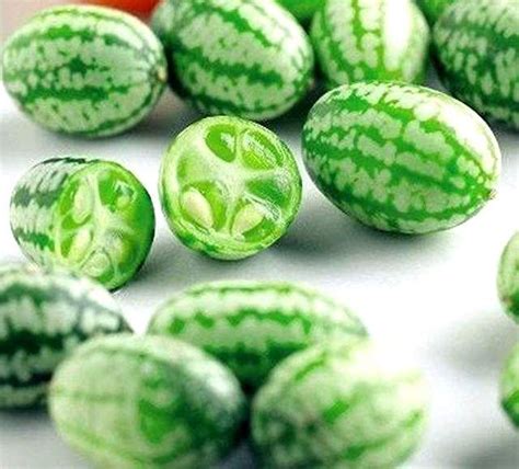 Amazon.com: cucamelon seeds | Cucamelon, Seeds, Fruit