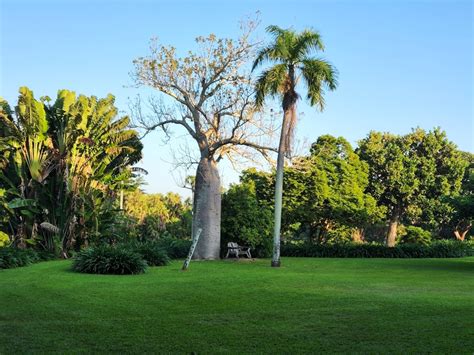 Swimming Spots In Darwin City | localista