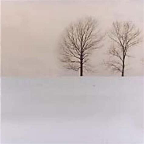 John Maus - Snowless Winters Lyrics and Tracklist | Genius