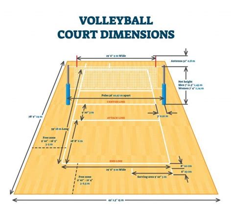 Premium Vector | Volleyball court dimensions size guide, illustration layout scheme | Volleyball ...