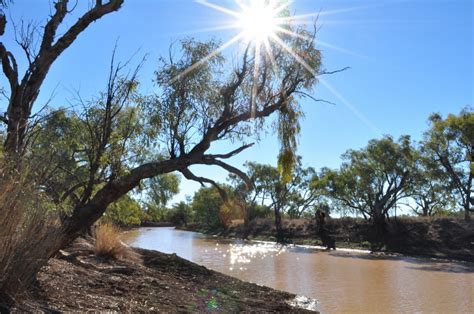 The real Waltzing Matilda – KathSwinbourne