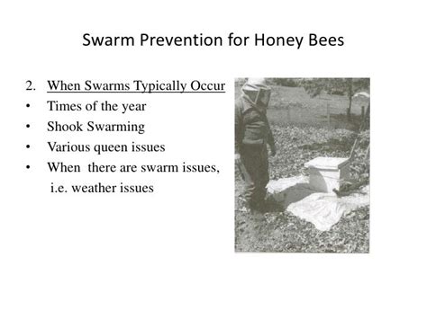 Swarm Prevention For Honey Bees