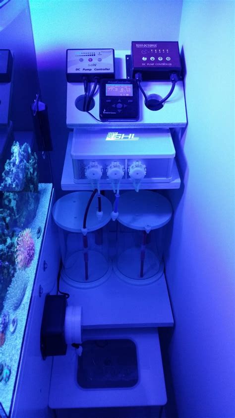 Let's see your GHL! | Page 2 | REEF2REEF Saltwater and Reef Aquarium Forum