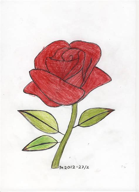Color Rose Drawing Images & Pictures - Becuo