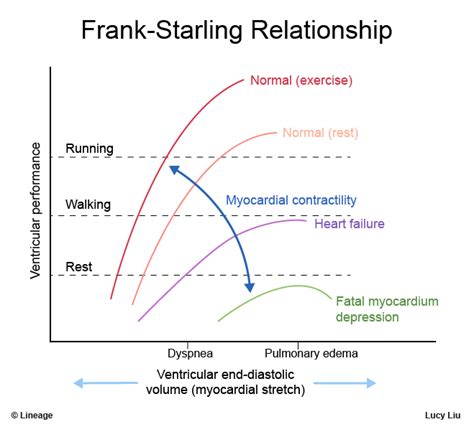 Starling Curve - Cardiovascular - Medbullets Step 1