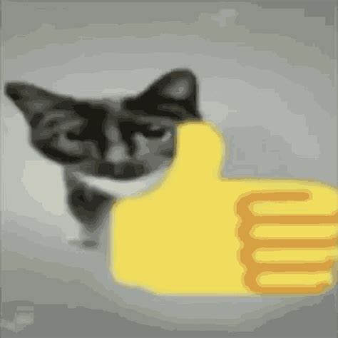 Cat Thumbs Up Middle Finger Cat GIF - Cat Thumbs Up Middle Finger Cat ...