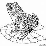 Frogs Free To color For Children  Kids Coloring Pages sketch template