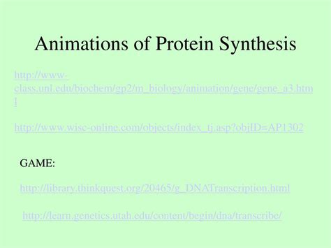 PPT - Protein Synthesis PowerPoint Presentation, free download - ID:5492350