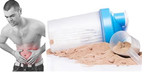 Is Protein Powder Bad For You? What Are The Risks? - Bodydulding