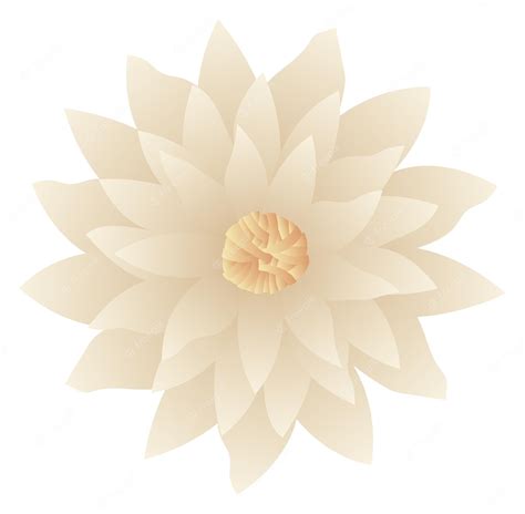 Premium Vector | White lotus flower realistic blossom top view