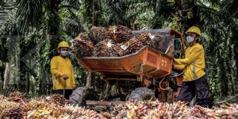 Astra Agro Lestari (AALI) Menargetkan Net Zero Emission – Astra Agro Lestari