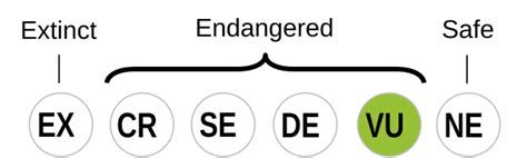 Hopi language - Wikipedia