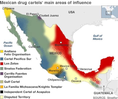 Mexican Cartels 2024 - Tate Zuzana