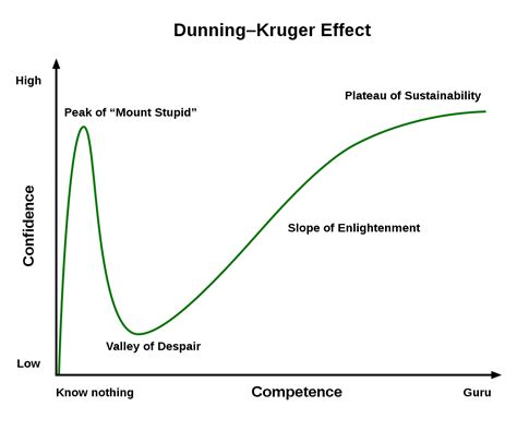 Dunning Kruger Graph: Understanding Dunning Kruger Effect