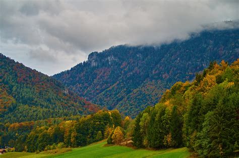 germany, Mountains, Forests, Autumn, Trees, Inzell, Nature Wallpapers ...