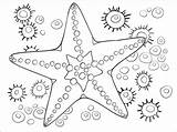 Starfish coloring Page  Free Printable Coloring Pages sketch template