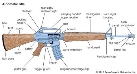 Partes De Un Rifle