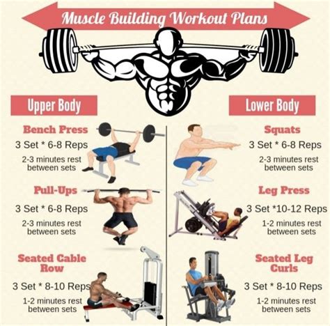 Best Workout Routine To Gain Muscle Mass - WorkoutWalls