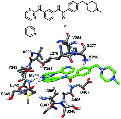 2D structure of 2 and X-ray structure of c-Src kinase in complex with 2 ...