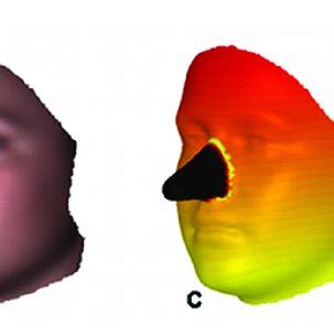 The Pinocchio effect. The Pinocchio effect known in shape analysis, is ...