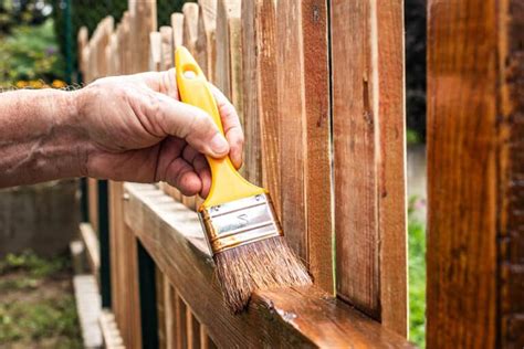 Fence Stain vs Paint (Pros and Cons & Design Guide)