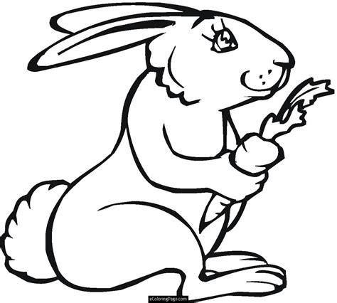 Bunny rabbit eating a carrot | Clipart Panda - Free Clipart Images