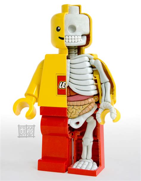 The Anatomy of a LEGO Minifig [pic] - Global Geek News