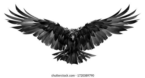 108,647 Raven Images, Stock Photos, 3D objects, & Vectors | Shutterstock