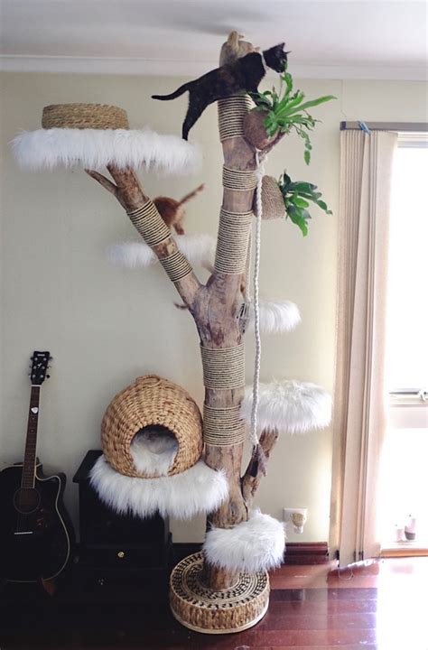 DIY Cat Tree Ideas: Creating a Feline Paradise | SONGMICS HOME