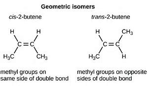 What is the difference between structural isomers and geometric isomers ...